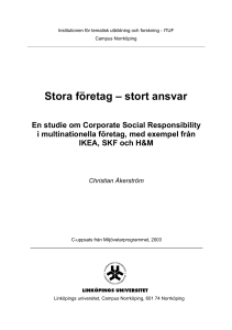Stora företag – stort ansvar