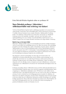Stora Sköndals professur i Människan i välfärdssamhället med