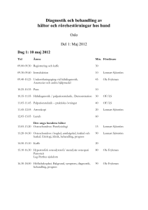 Diagnostik och behandling av hältor och rörelsestörningar hos hund