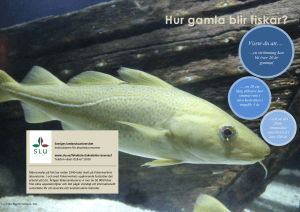 Hur gamla blir fiskar?