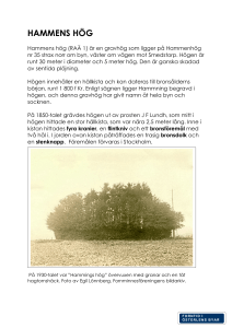 HAMMENS HÖG