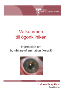 Information om keratit