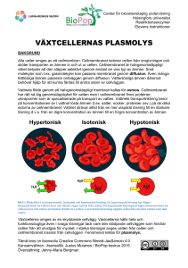 VÄXTCELLERNAS PLASMOLYS