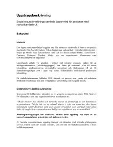 Uppdragsbeskrivning