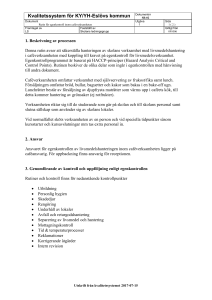 Mall för kvalitetsmanual