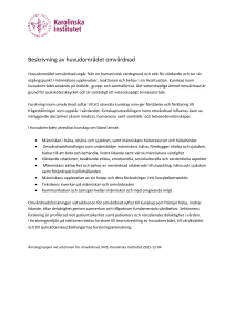 Beskrivning av huvudområdet omvårdnad - Ping Pong