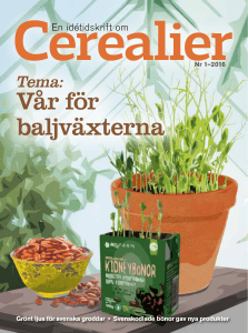 Vår för balj växterna