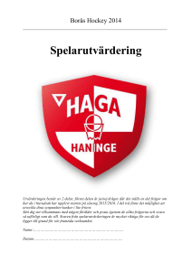 spel schema