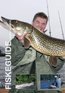 fiskeguide - Visit Ljungby