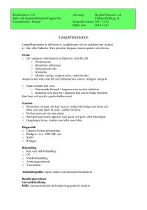 Lunginflammation