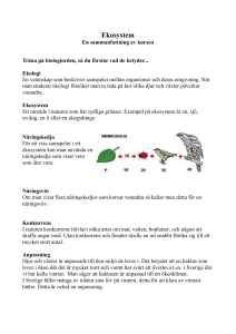 ekologi-sammanfattning