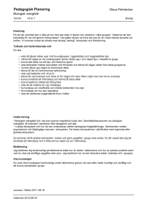 Pedagogisk Planering