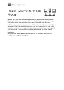 Projekt – Säkerhet för mindre företag - IT
