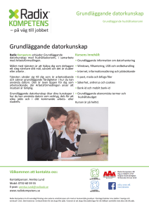 Grundläggande datorkunskap