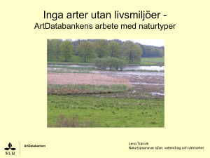 Inga arter utan livsmiljöer - ArtDatabankens arbete