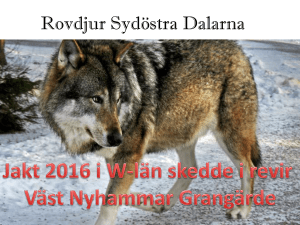 Rovdjur Sydöstra Dalarna