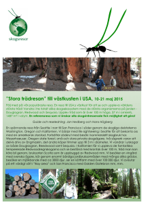 Program Stora tr\344dresan USA 10-21 maj 2015