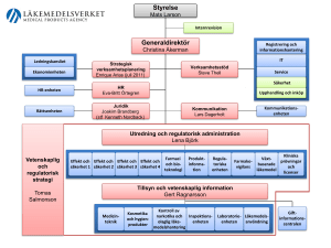 Generaldirektör