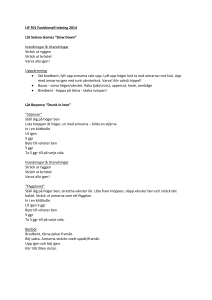 LIF F01 Funktionell träning 2014 Låt Selena Gomez “Slow