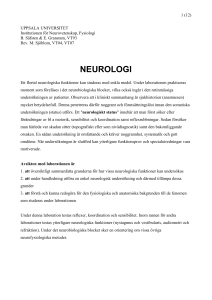Neurologstatus - UU Studentportalen