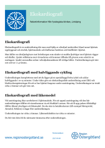 Ekokardiografi