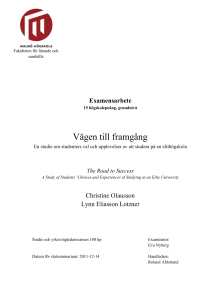 Vägen till framgång