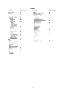 pdf-fil
