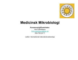 föreläsning I introduktion ann