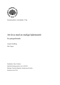 Att leva med en malign hjärntumör