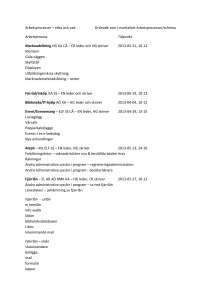 Arbetsprocesser – vilka och vad Ordnade som i excelarket