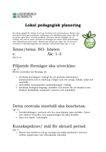 NO hösten År 1