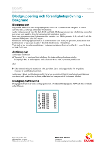 Blodgruppering och förenlighetsprövning