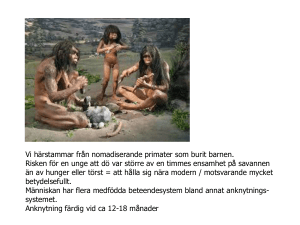 Pilotmodell: samordningsteam Västerås, del 1