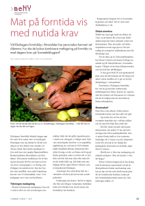 Mat på forntida vis med nutida krav