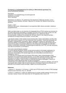 Användning av pulsgelelektrofores för testning av DNA