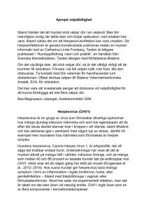 Apropå valpdödlighet Ibland händer det att mycket små valpar dör i