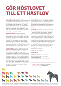gör höstlovet till ett hästlov - Hästnäringens Nationella Stiftelse