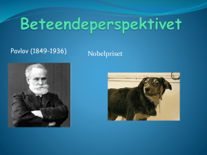 Beteendeperspektivet