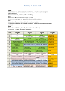 Planering 9A läsåret 2015