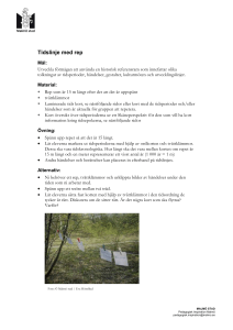 Tidslinje med rep