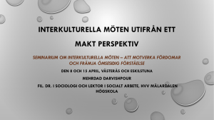 Interkulturell möte utifrån ett makt perspektiv