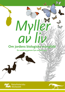 Om jordens biologiska mångfald