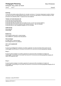 Pedagogisk Planering