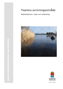 Rapport om Tisaren - Hallsbergs kommun