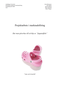 Projektarbete i marknadsföring - IEI