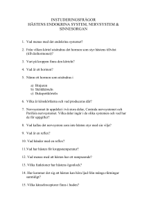 INSTUDERINGSFRÅGOR