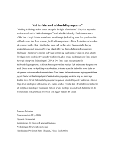 Populärvetenskaplig sammanfattning