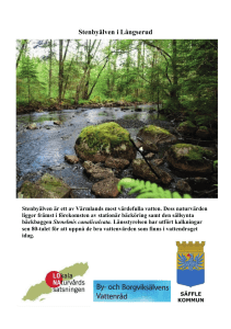 Stenbyälven i Långserud