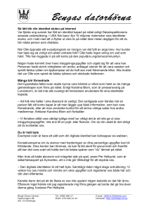 Så lätt blir din identitet stulen på Internet - PDF