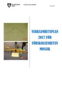 Verksamhetsplan 2017